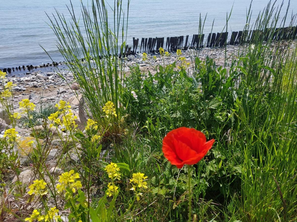 Ferienwohnung "Luv" Grube Ostsee ภายนอก รูปภาพ