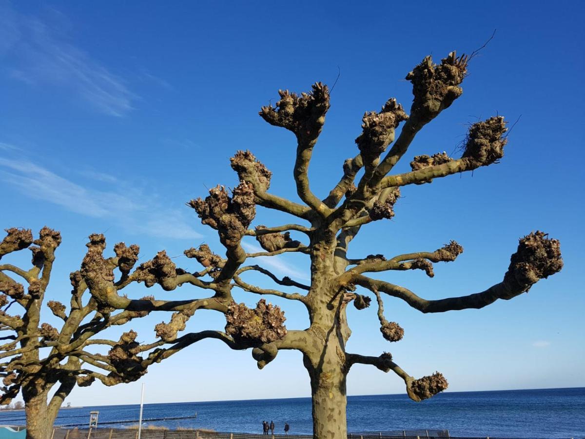 Ferienwohnung "Luv" Grube Ostsee ภายนอก รูปภาพ