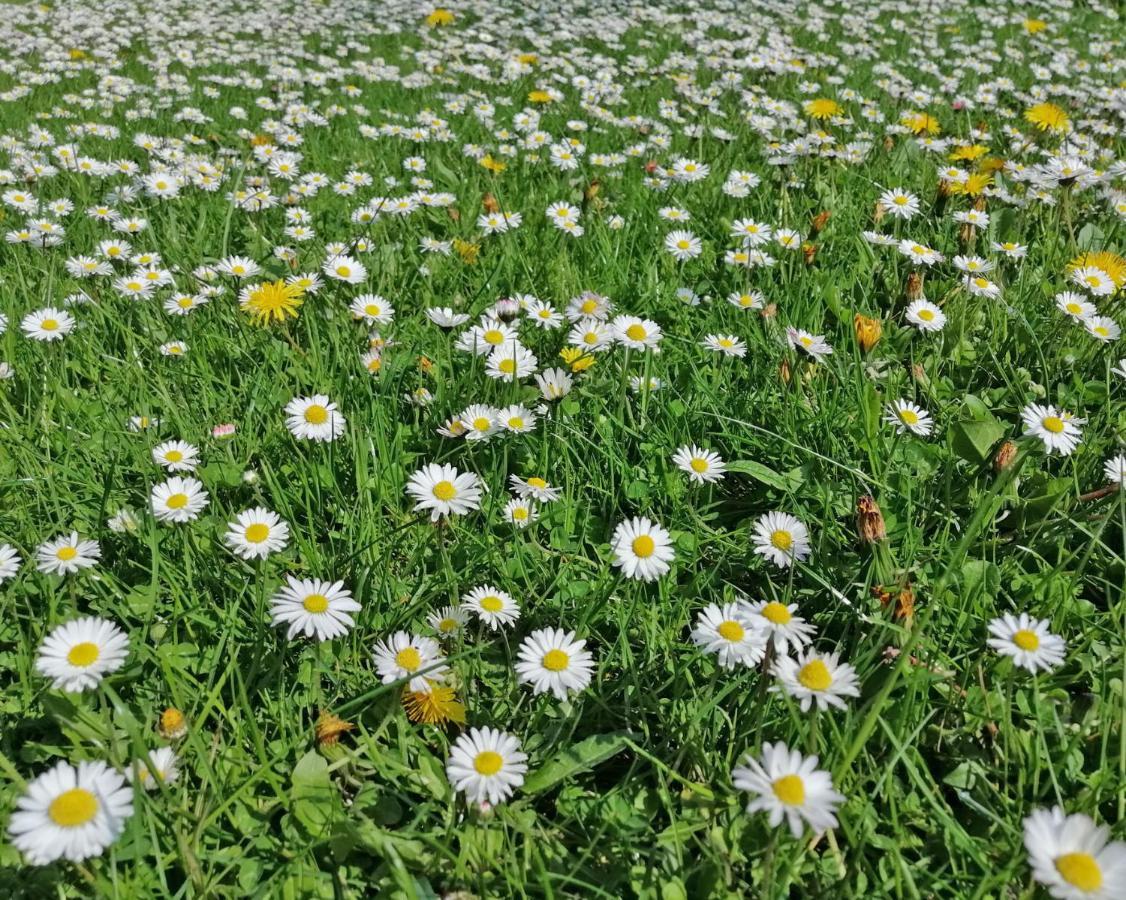 Ferienwohnung "Luv" Grube Ostsee ภายนอก รูปภาพ